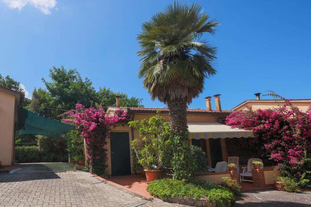 Casa dei Fiori - Goelba - 3
