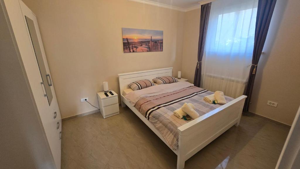 Warm Nest, Bělehrad