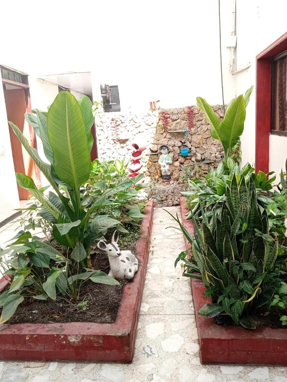 Hotel NEVADA CLASSIC - 3