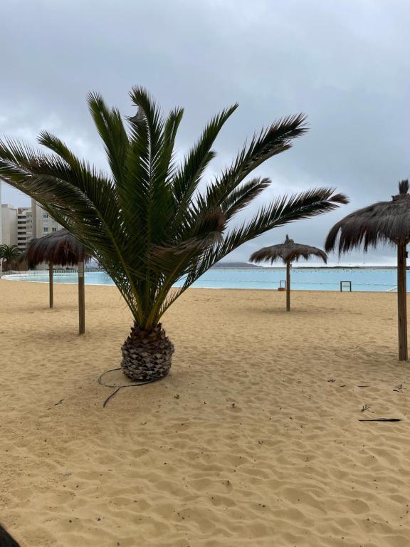 Laguna del Mar La Serena - 3