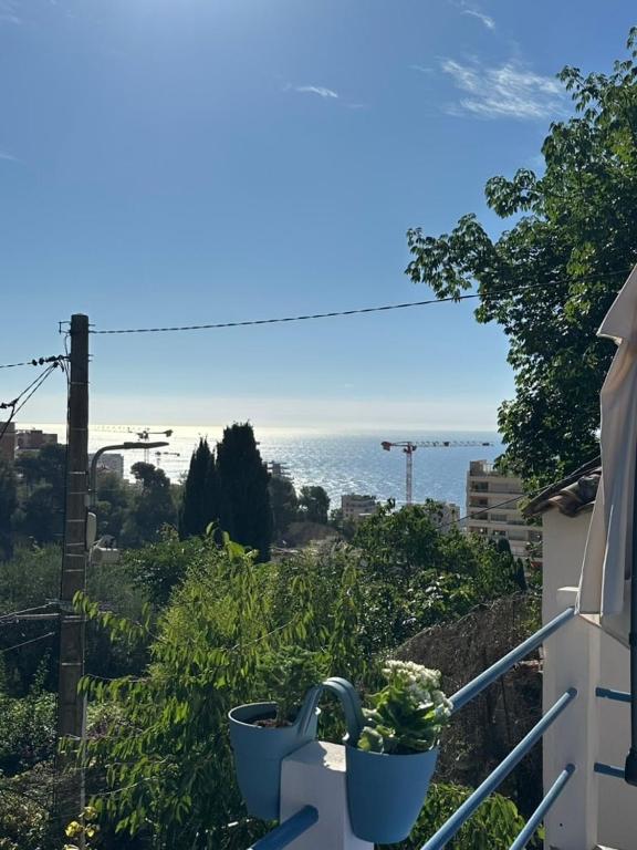 La Cabane du Soleil - 2
