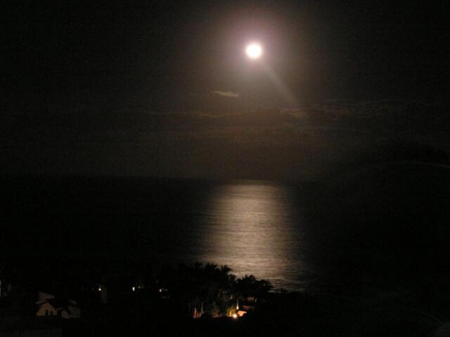 Casa Helios-OceanView PalmillaBeach - 5