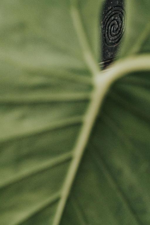 Surrounding environment