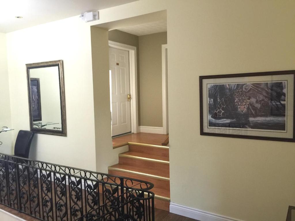 Grey Rose Suites photo