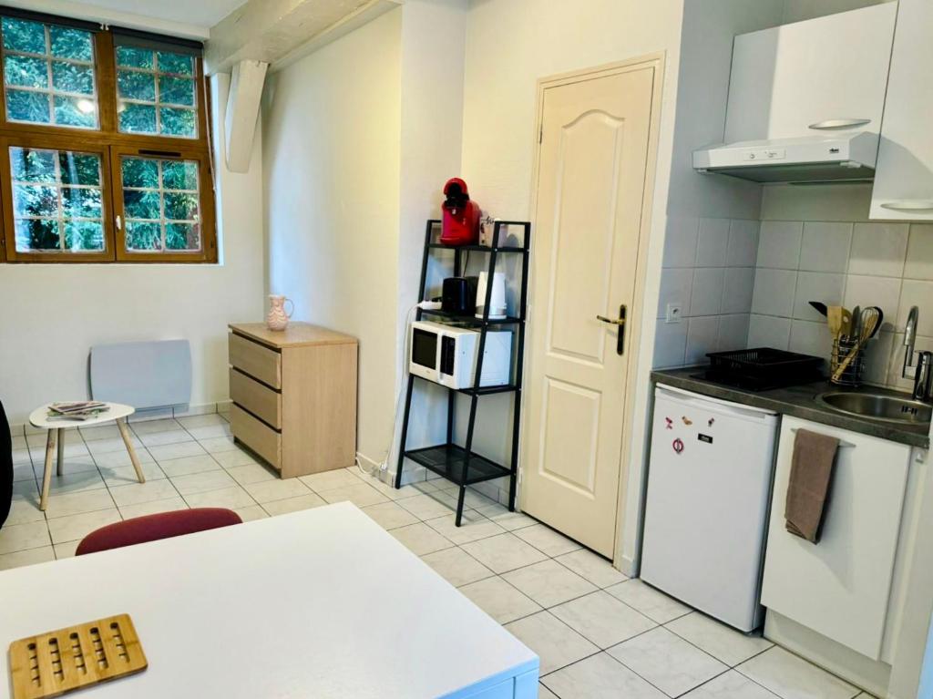 Studio Arquebuse - Centre de Troyes avec jardin - 4