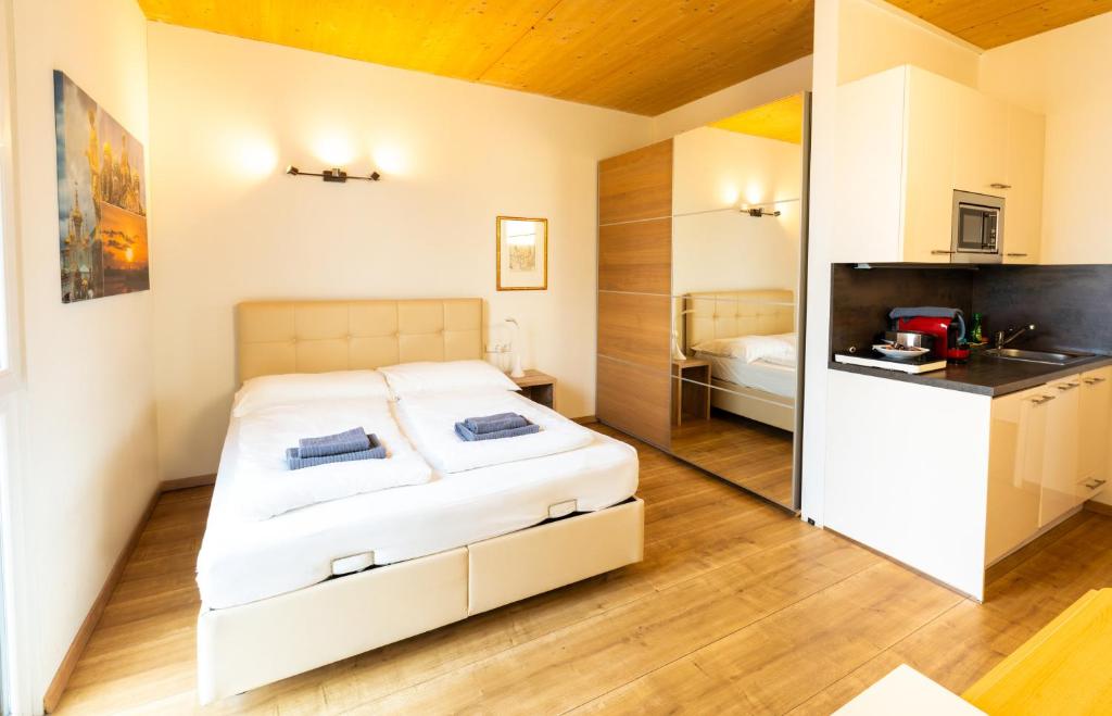 212 St Petersburg, Studio Apartment, 27m2, 1-2 Pers - 3