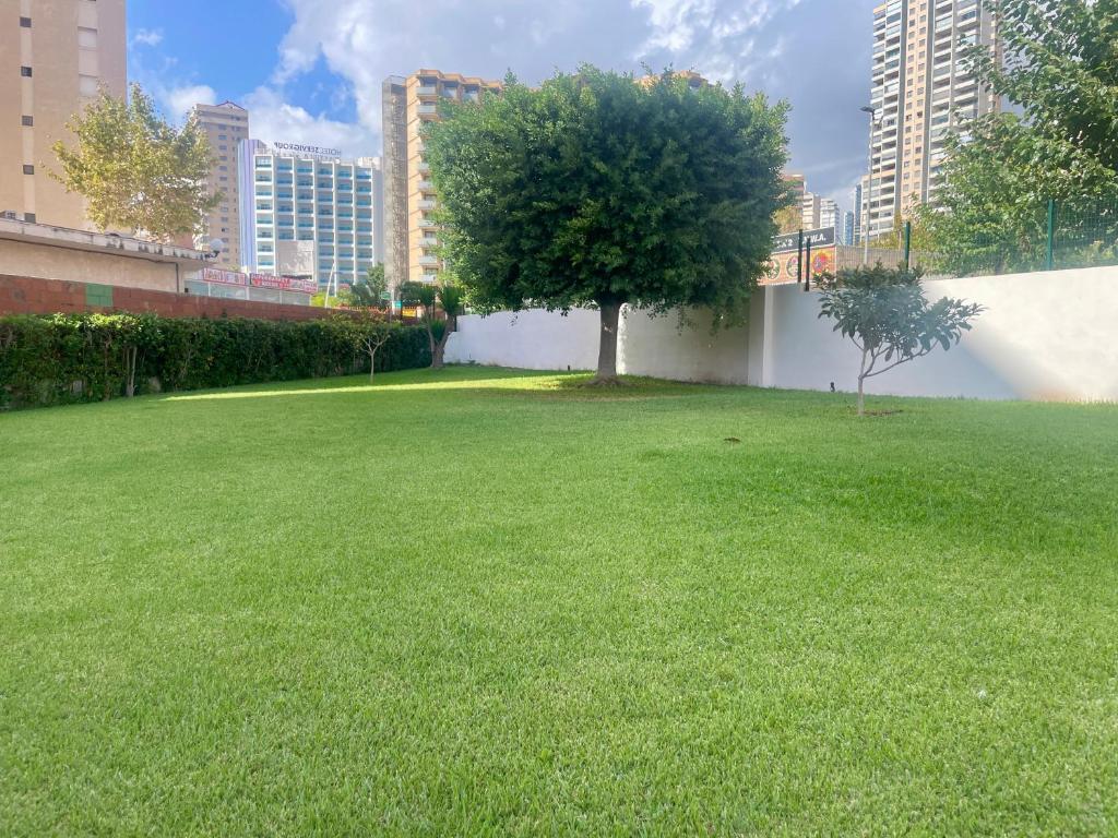 Acogedor apartamento de dos dormitorios en el corazón de Benidorm - 2