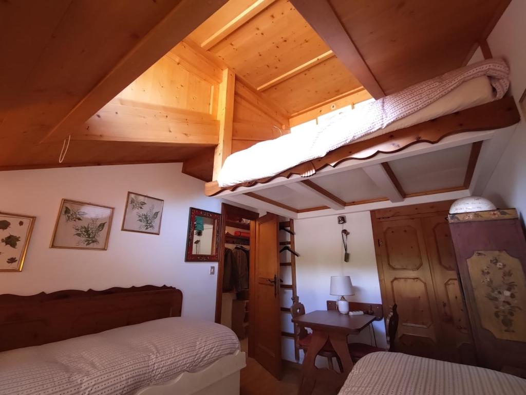 Cortina Olympics cosy apartment - 2