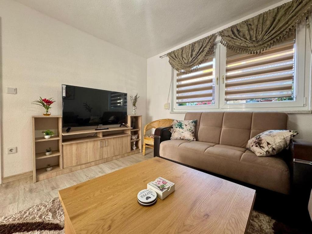 Apartment in Ilidza - 1