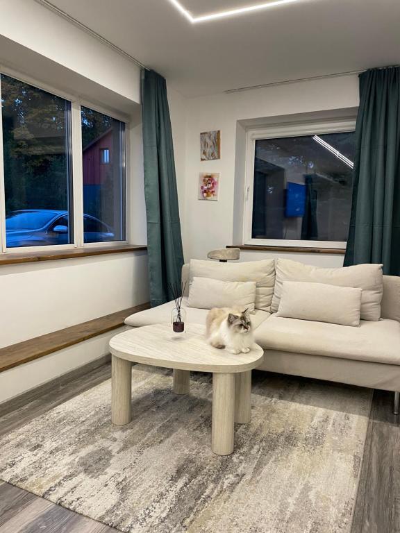 Markuciai Studio, Vilnius