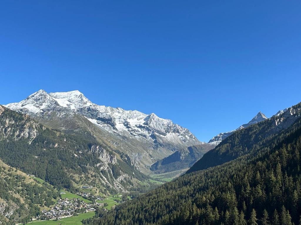 Chalet Perle des Alpes - 3
