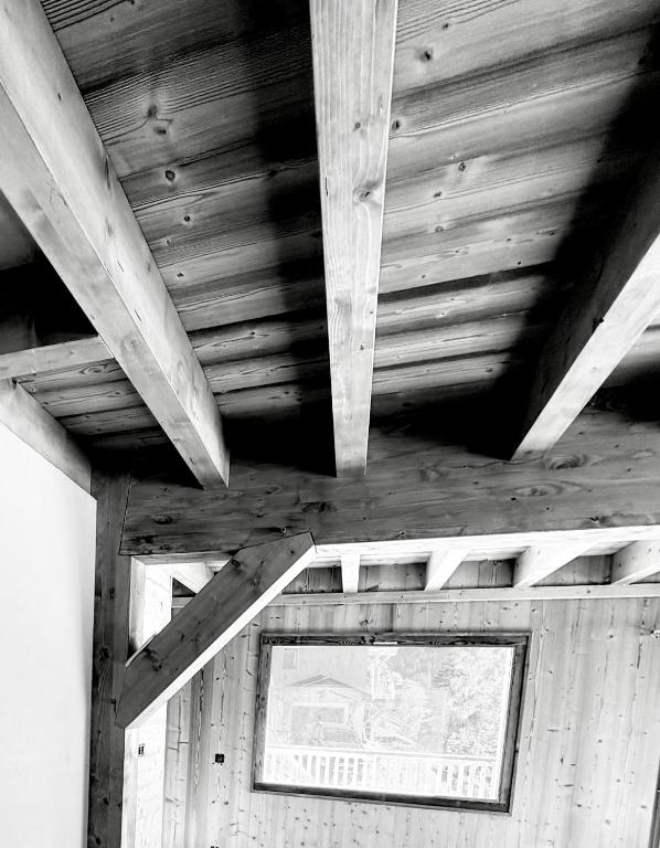Chalet Perle des Alpes - 5