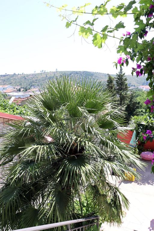 Teona-Apartments - 4