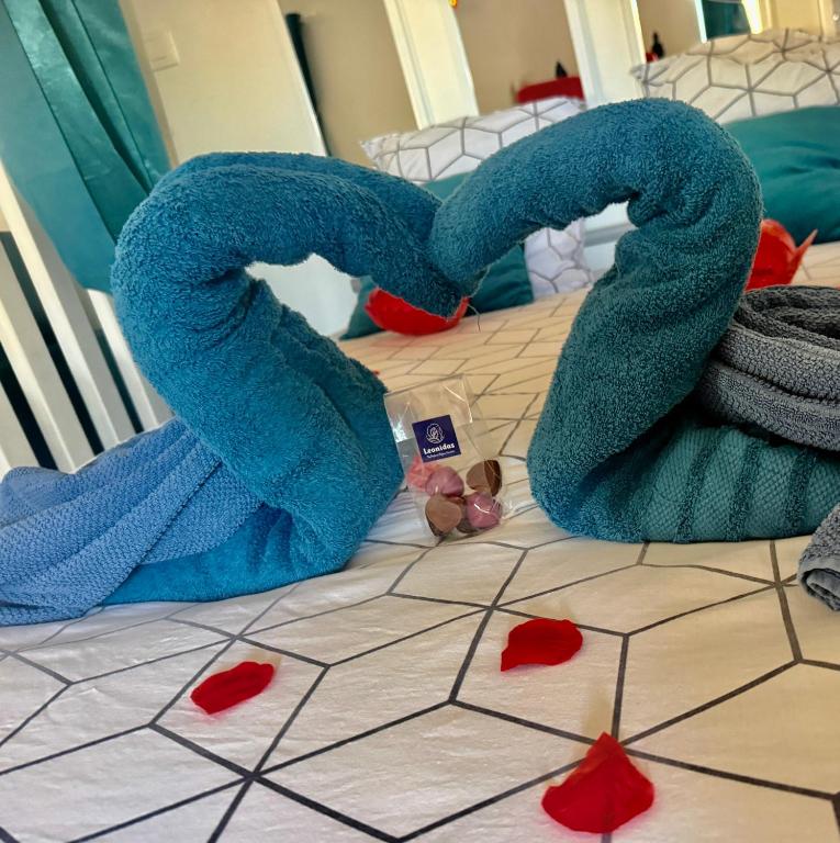 LOVE ROOM by GC - Jacuzzi - Wifi - Clim - Rétroprojecteur - 4