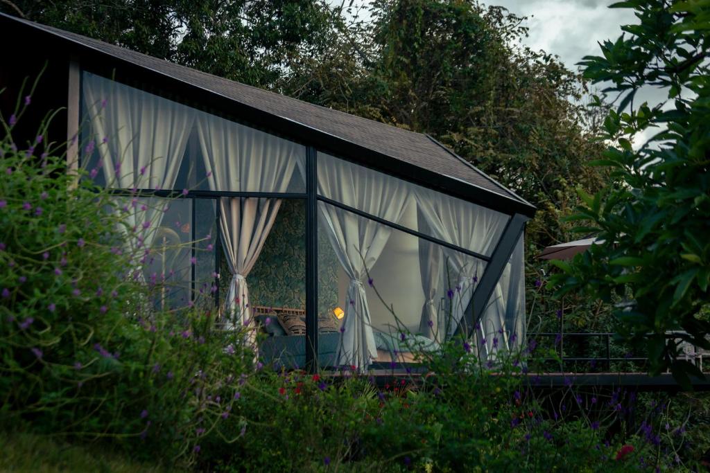 Glamping Santuario Quindio - 2