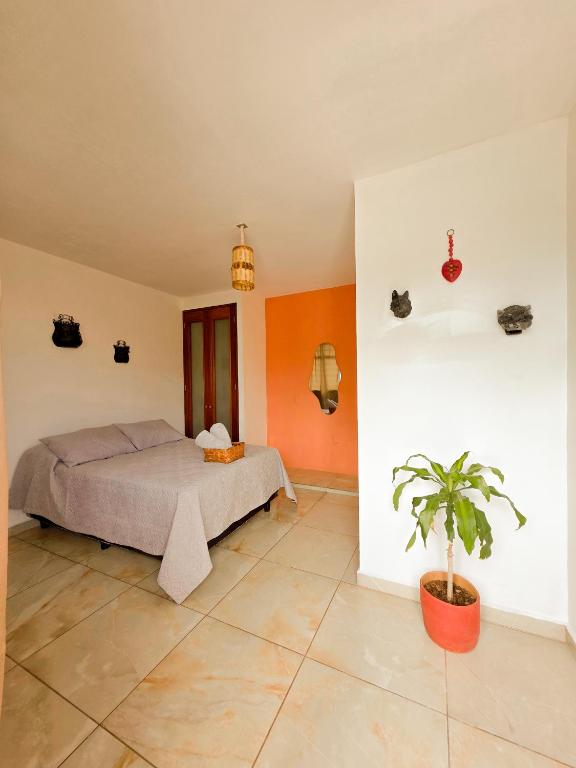 Habitaciones Casa Bule - 5