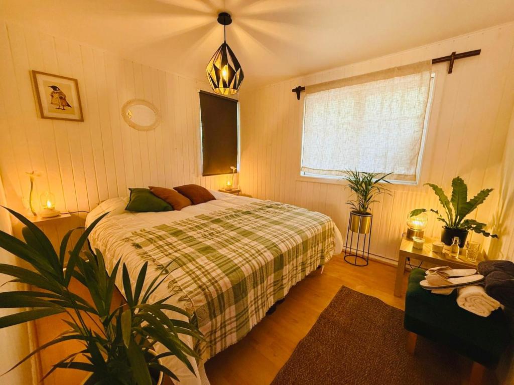 Casa en la precordillera entorno natural - 1