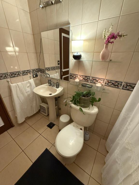 Casa en la precordillera entorno natural - 5