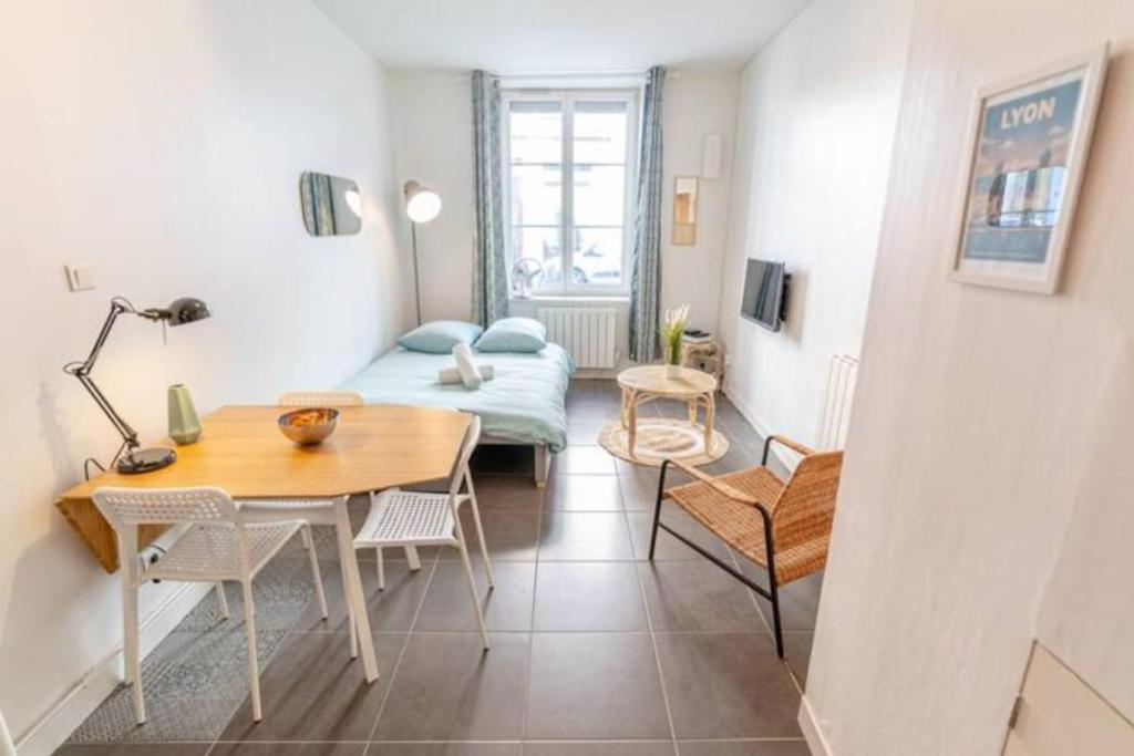 Quiet & central duplex apartment Wifi near Rhône & Parc Blandan - 3