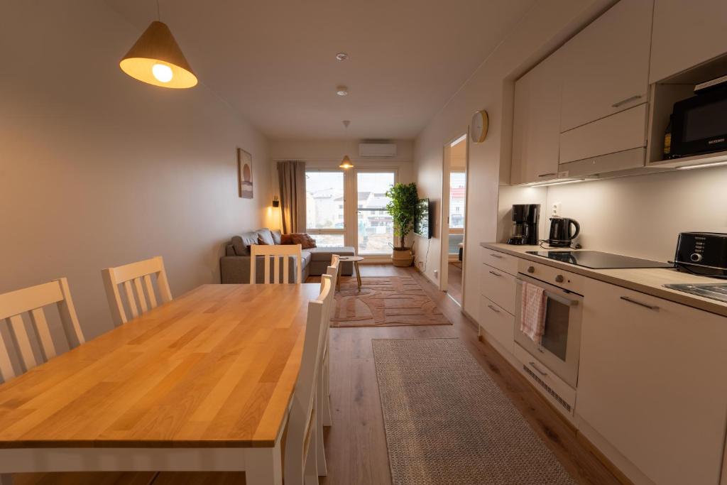 Snowflake X, Rovaniemi