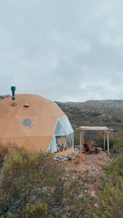 Glamping Potrerillos - 3