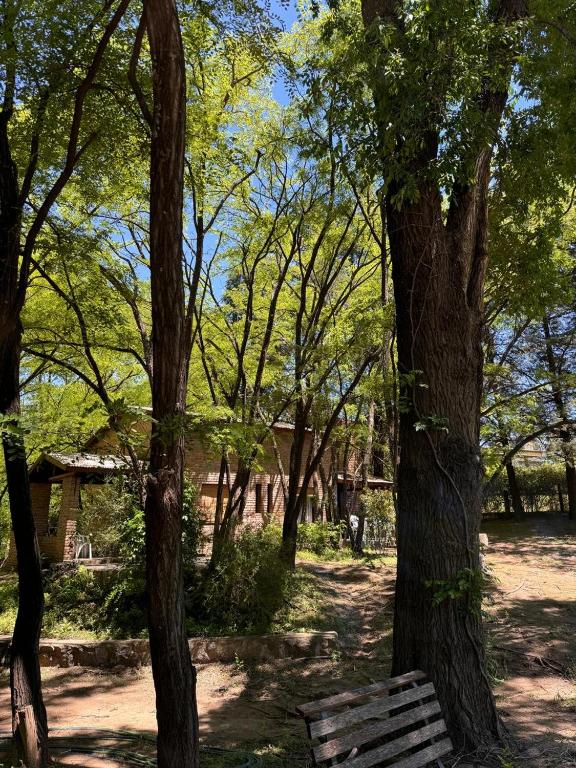 Casa de Campo - 5