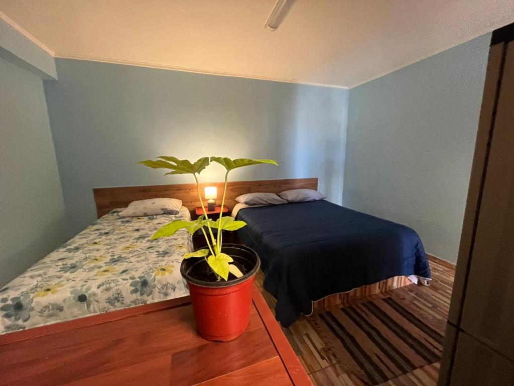 Hostal Piedras Rojas - 1