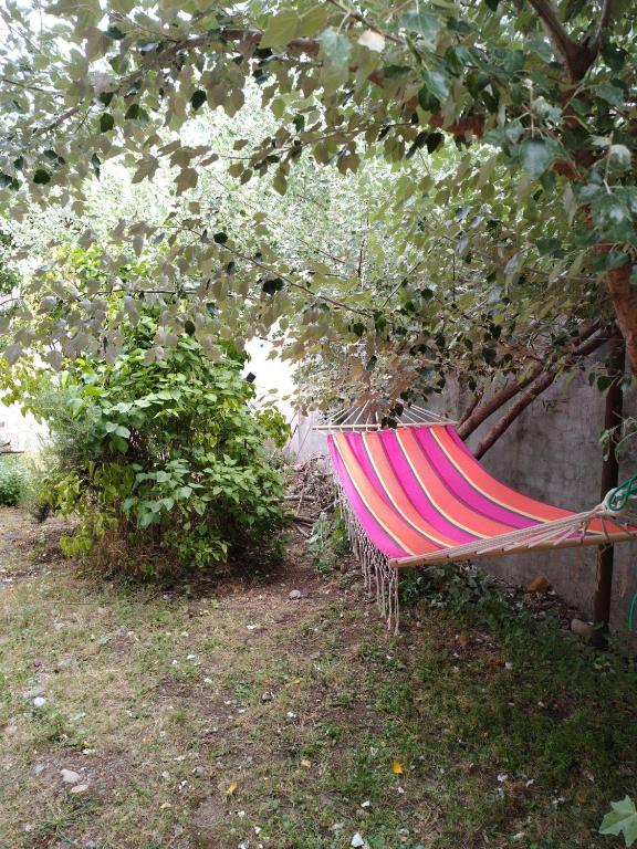 Casa con jardin en el centro, Pet friendly -Mi Casa Tu Casa E- - 4