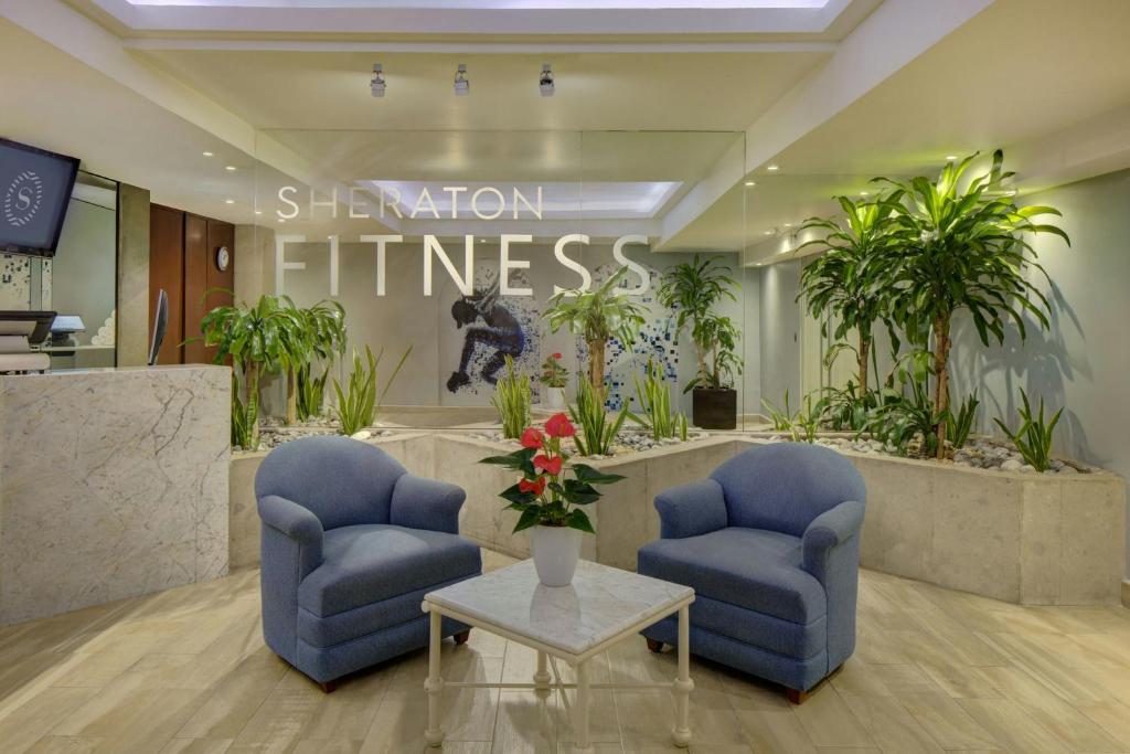 Gimnasio