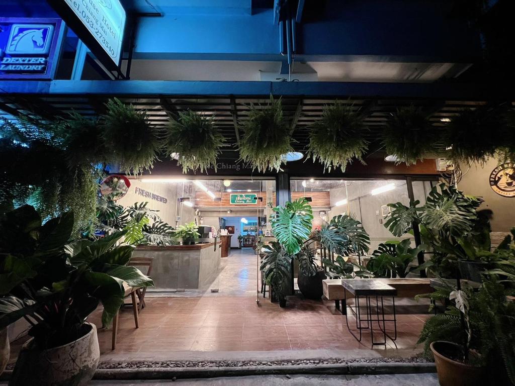 B House Chiangmai Hotel