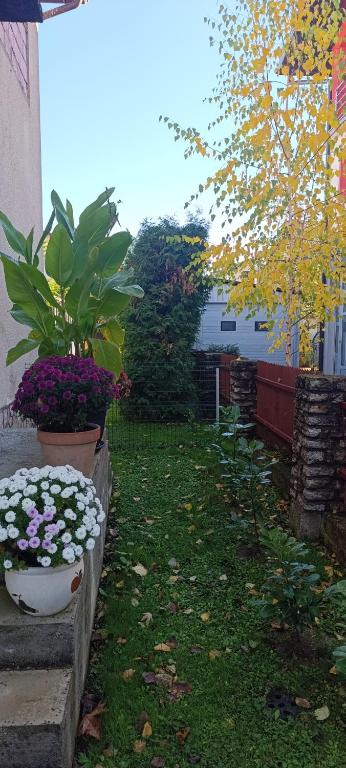 Apartman Bihać SviMi - 3