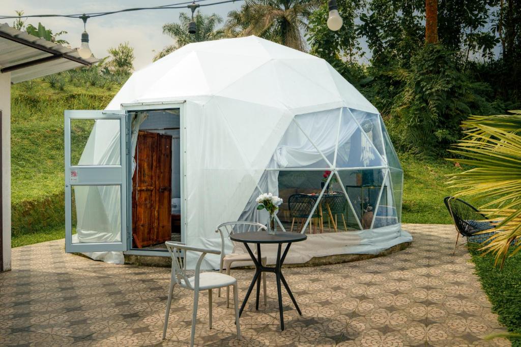 Glamping Las Palmas Finca - 5