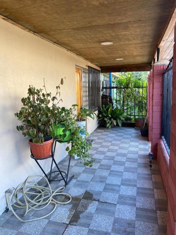 House in Molina - 2