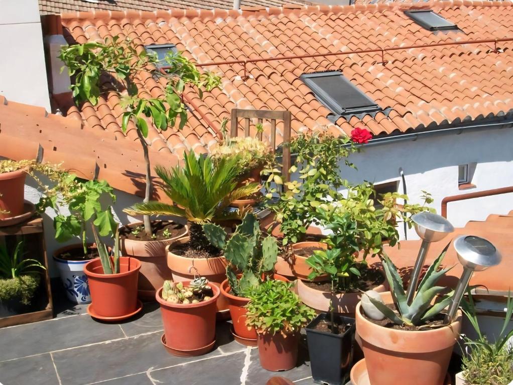 Lovely Loft Apartment Madrid Center - 1