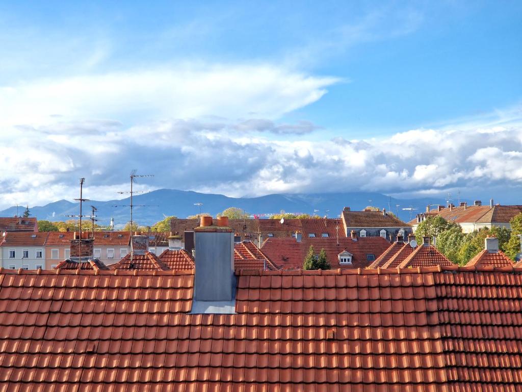 Magnifique Appartement Mulhouse Stationnement Gratuit - 3