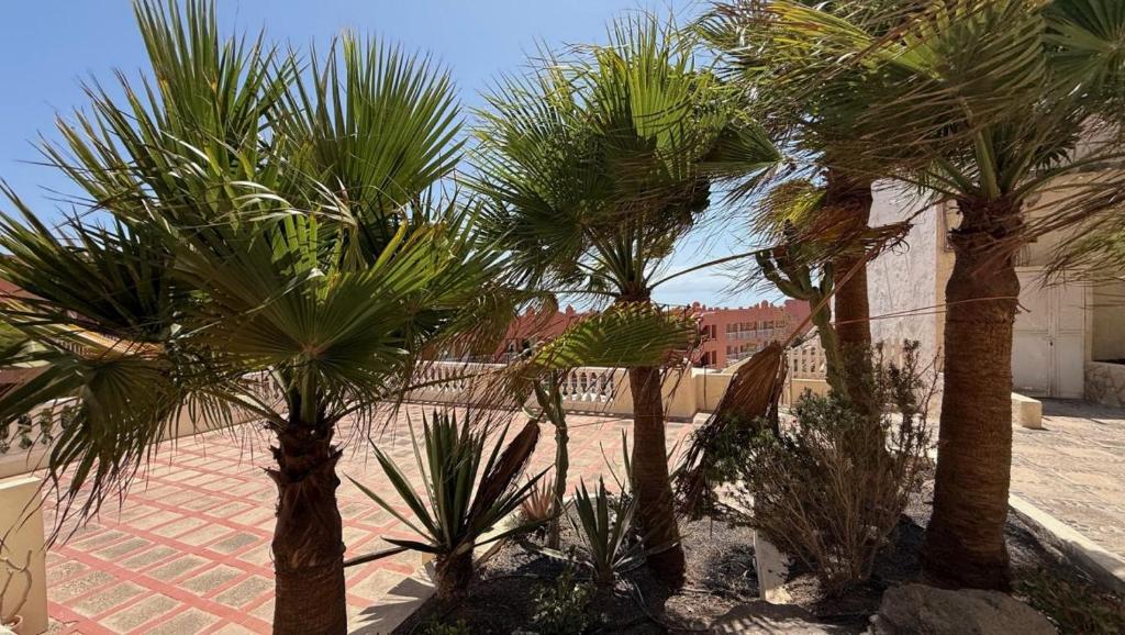 Casa Jasmin - 2