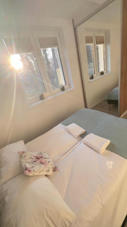 Apartamenty Dabrowka Plus - w lesie, prywatny parking, park, sauna, miejsce grillowe, Jelení Hora