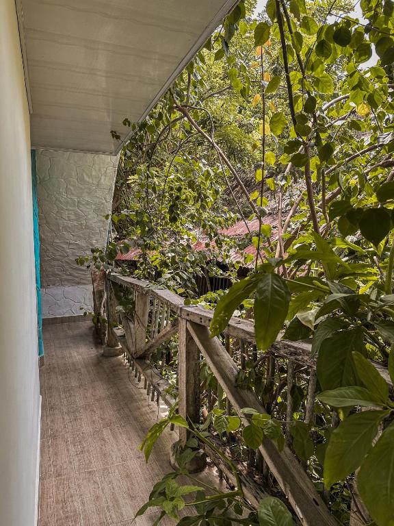 Eco Hostal La Perla Tayrona - 4