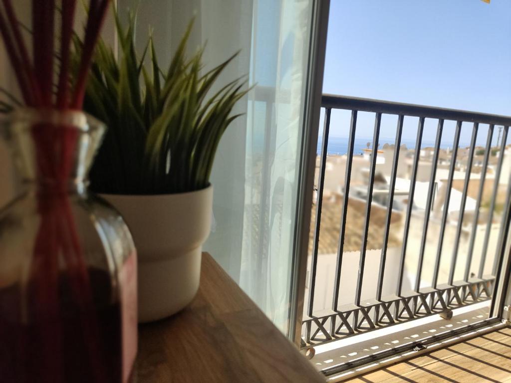 Biznaga seaviews - 3