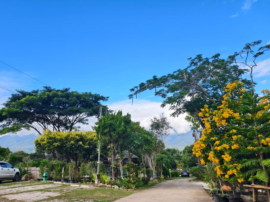 Pai Seview & Tewdoi ปายซีวิว ทิวดอย, Pai