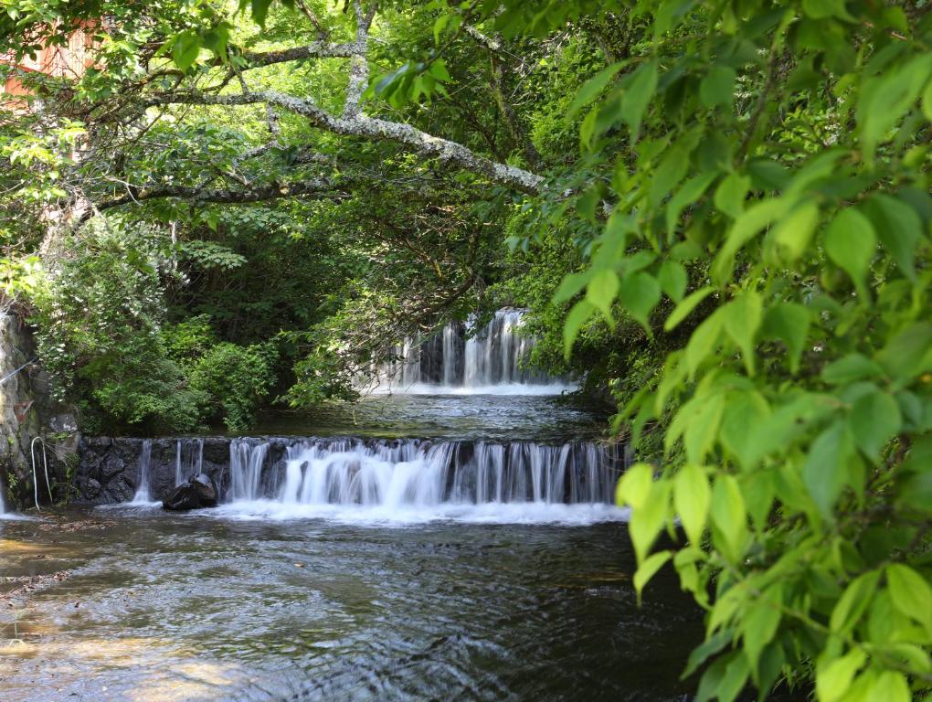 Surrounding environment