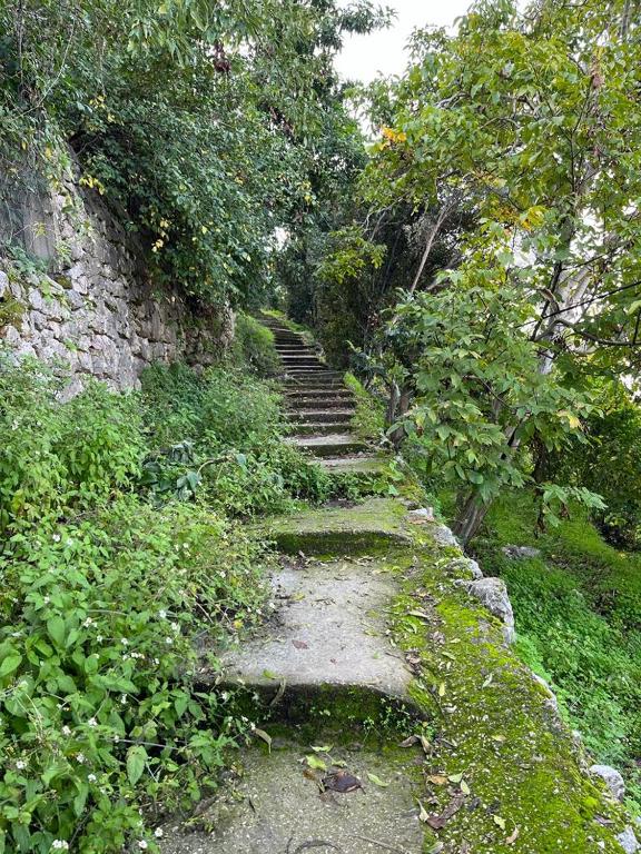 Sports and activities