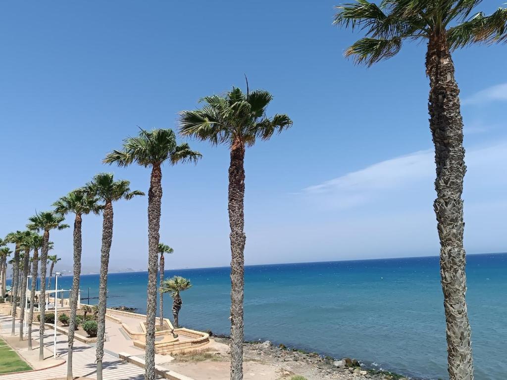Sea view flat - 1