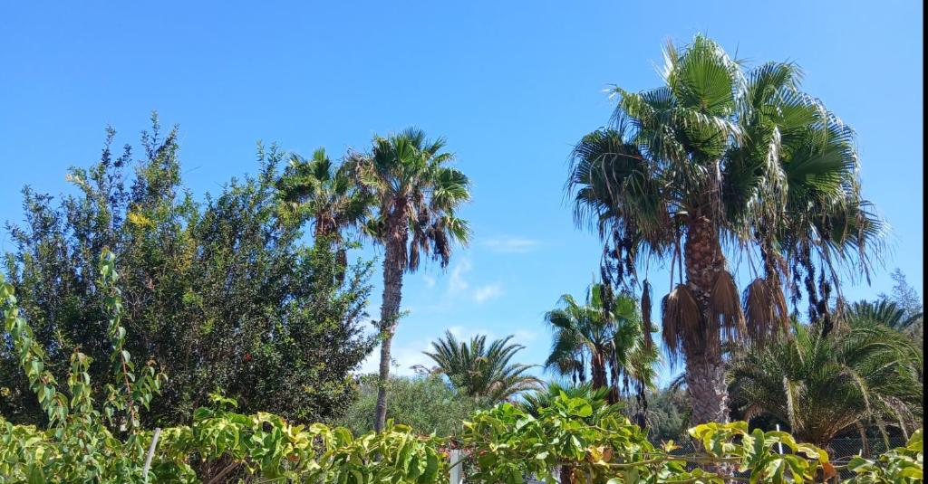 Casa Vista Verde - 5