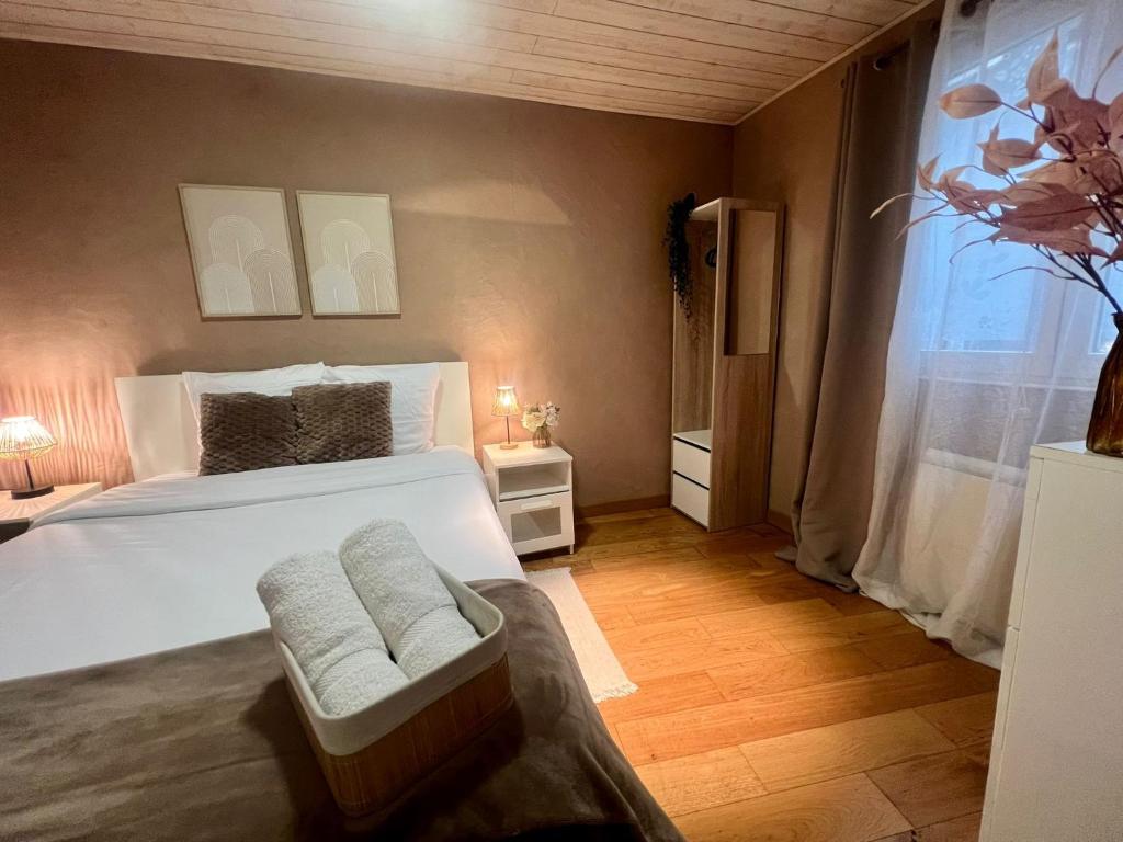 The Chalet - in the heart of Metz - 3