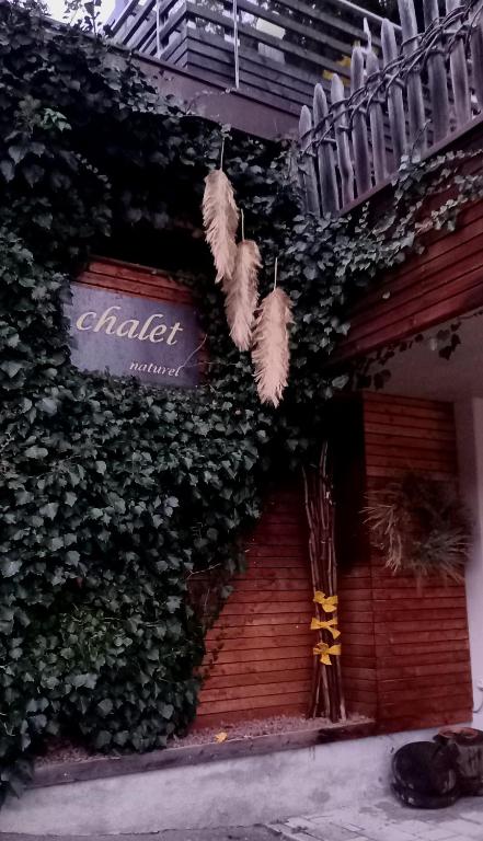 chalet naturel - 2