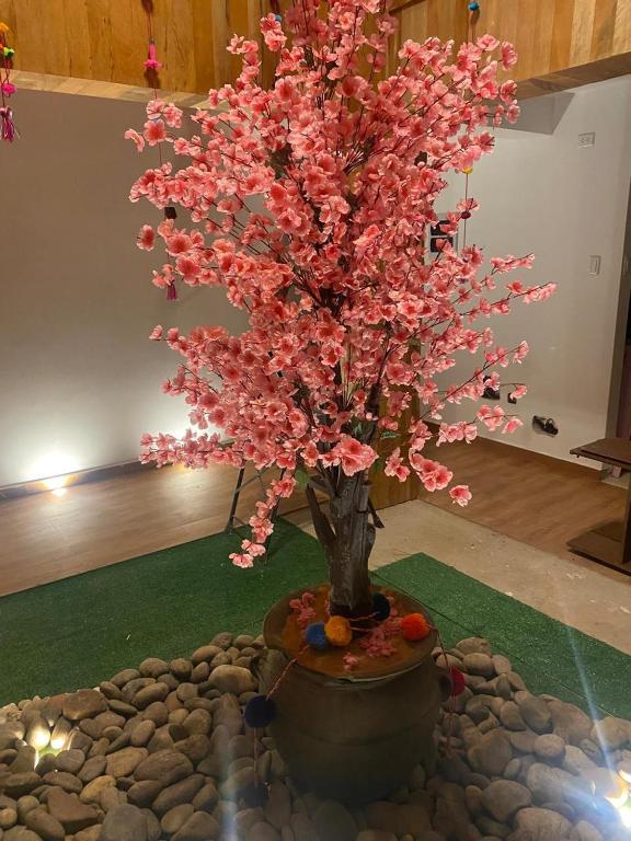 Apus Paradise House Valle Sagrado - 3