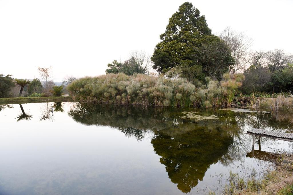 Surrounding environment