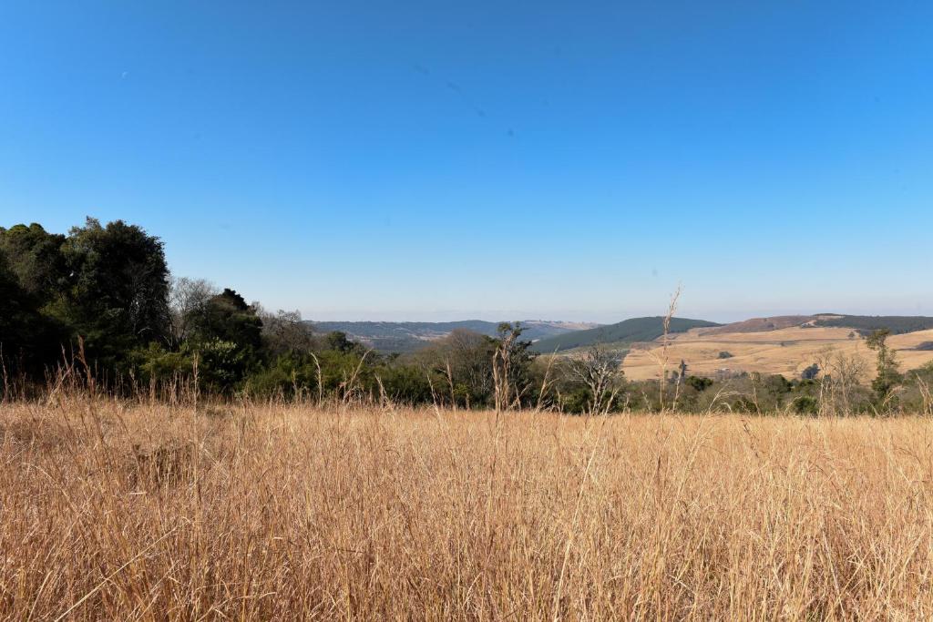 Surrounding environment