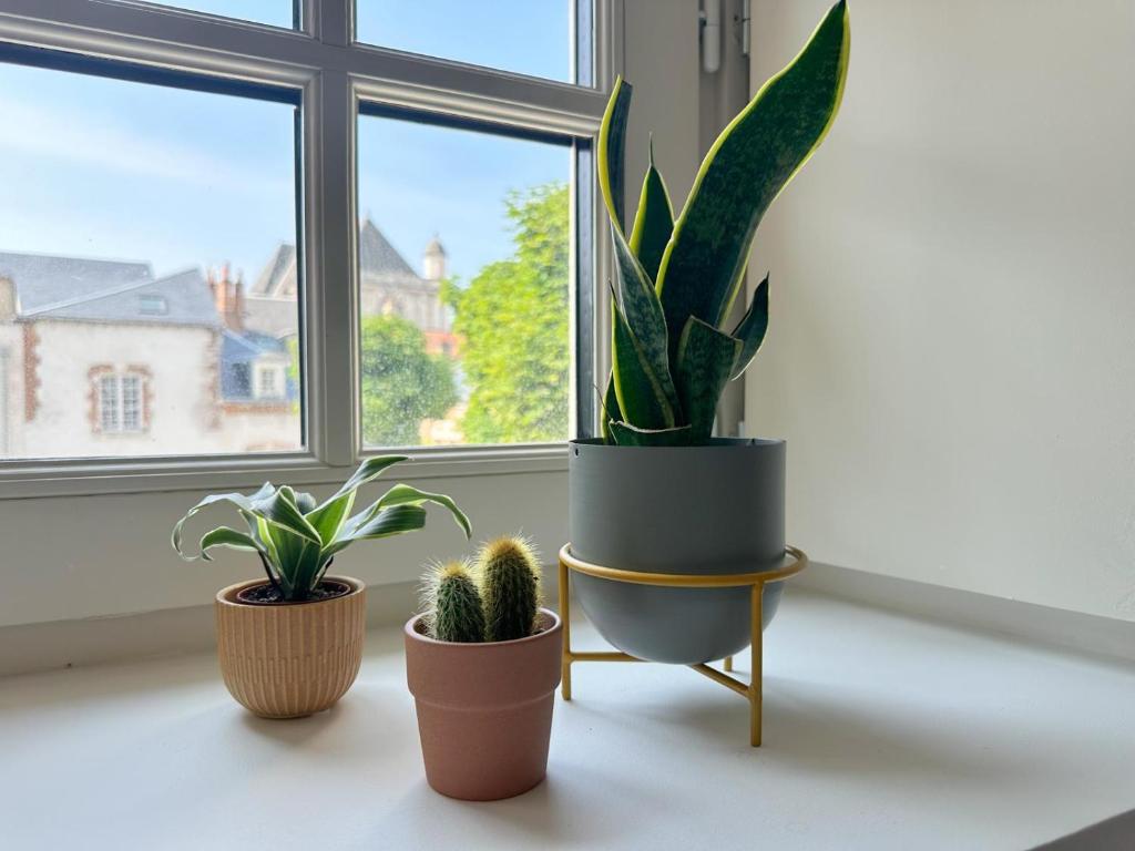 Appartement Design classé 3 étoiles avec Terrasse & Parking Privé - Hyper Centre Orléans - 4